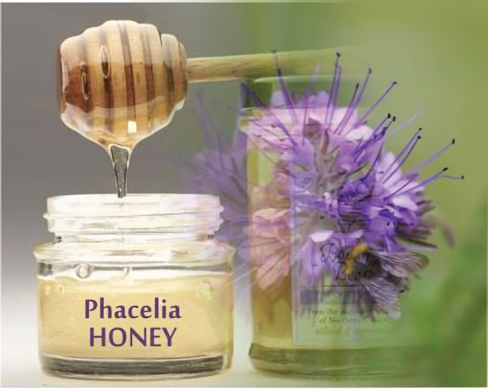 Phacelia-Honey